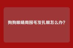 狗狗眼睛周围毛发扎眼怎么办？