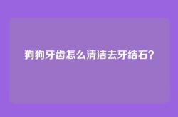 狗狗牙齿怎么清洁去牙结石？