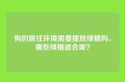 狗的居住环境需要摆放绿植吗，哪些绿植适合呢？