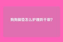 狗狗脚垫怎么护理防干裂？