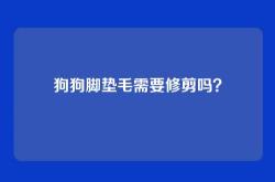 狗狗脚垫毛需要修剪吗？