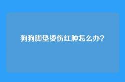 狗狗脚垫烫伤红肿怎么办？