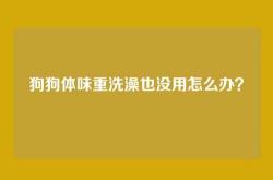 狗狗体味重洗澡也没用怎么办？