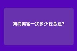 狗狗美容一次多少钱合适？