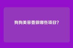 狗狗美容要做哪些项目？