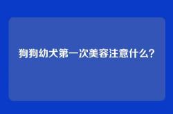狗狗幼犬第一次美容注意什么？