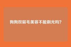 狗狗双层毛美容不能剃光吗？