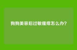 狗狗美容后过敏瘙痒怎么办？
