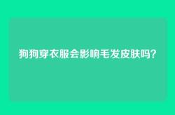 狗狗穿衣服会影响毛发皮肤吗？