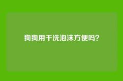 狗狗用干洗泡沫方便吗？