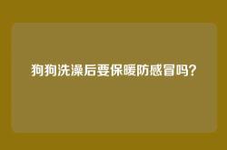 狗狗洗澡后要保暖防感冒吗？