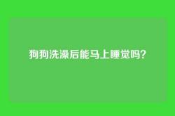 狗狗洗澡后能马上睡觉吗？
