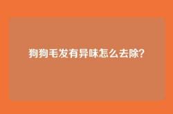 狗狗毛发有异味怎么去除？