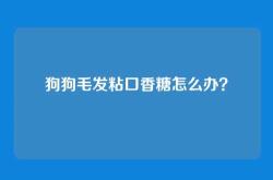狗狗毛发粘口香糖怎么办？