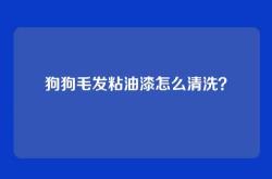 狗狗毛发粘油漆怎么清洗？