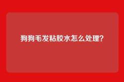 狗狗毛发粘胶水怎么处理？