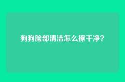 狗狗脸部清洁怎么擦干净？