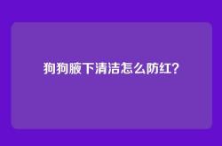 狗狗腋下清洁怎么防红？