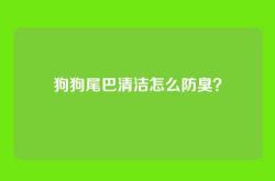狗狗尾巴清洁怎么防臭？