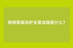 狗狗家庭洗护全套流程是什么？