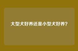 大型犬好养还是小型犬好养？