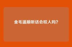 金毛温顺听话会咬人吗？