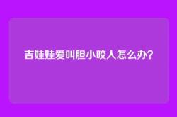 吉娃娃爱叫胆小咬人怎么办？