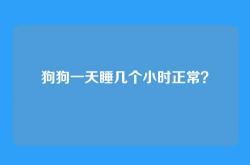 狗狗一天睡几个小时正常？