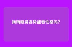 狗狗睡觉姿势能看性格吗？