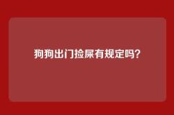 狗狗出门捡屎有规定吗？