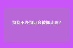 狗狗不办狗证会被抓走吗？