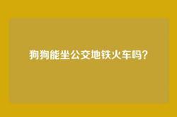 狗狗能坐公交地铁火车吗？