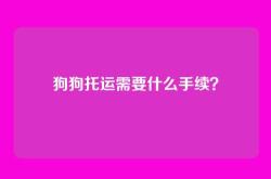 狗狗托运需要什么手续？