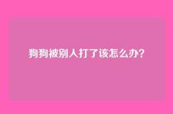 狗狗被别人打了该怎么办？