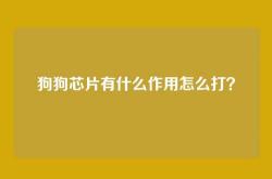 狗狗芯片有什么作用怎么打？