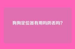 狗狗定位器有用吗防丢吗？