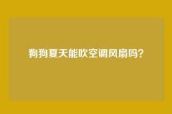 狗狗夏天能吹空调风扇吗？