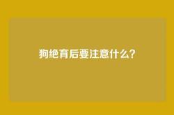 狗绝育后要注意什么？