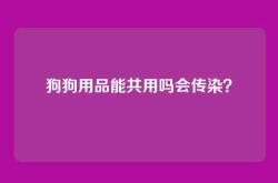 狗狗用品能共用吗会传染？