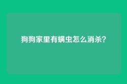 狗狗家里有螨虫怎么消杀？