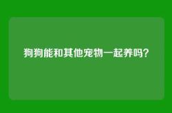 狗狗能和其他宠物一起养吗？
