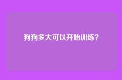 狗狗多大可以开始训练？