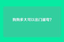 狗狗多大可以出门遛弯？