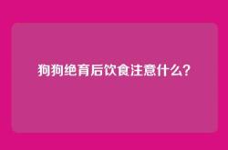 狗狗绝育后饮食注意什么？