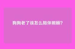 狗狗老了该怎么陪伴照顾？