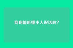 狗狗能听懂主人说话吗？