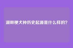 湖畔梗犬种历史起源是什么样的？