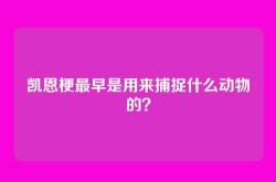 凯恩梗最早是用来捕捉什么动物的？