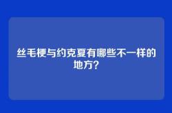 丝毛梗与约克夏有哪些不一样的地方？