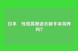日本狆性格高傲适合新手来饲养吗？